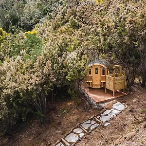  Villa El Pino Centenario 3 Con Sauna España